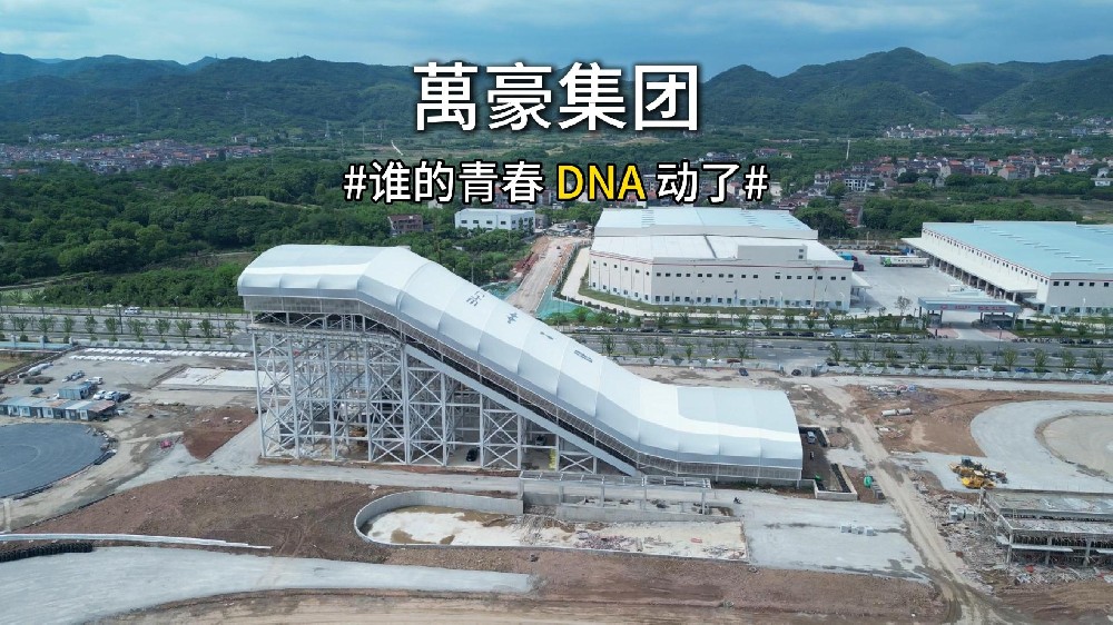 谁的青春 DNA 动了